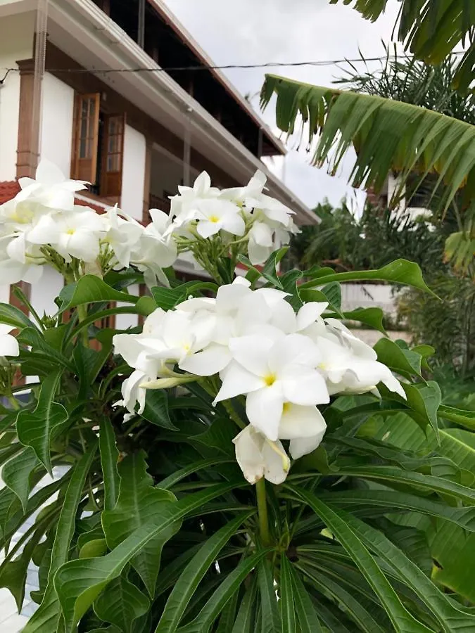 1 Bedroom Facing Paddy Fields Pullur, Irinjalakuda Appartement