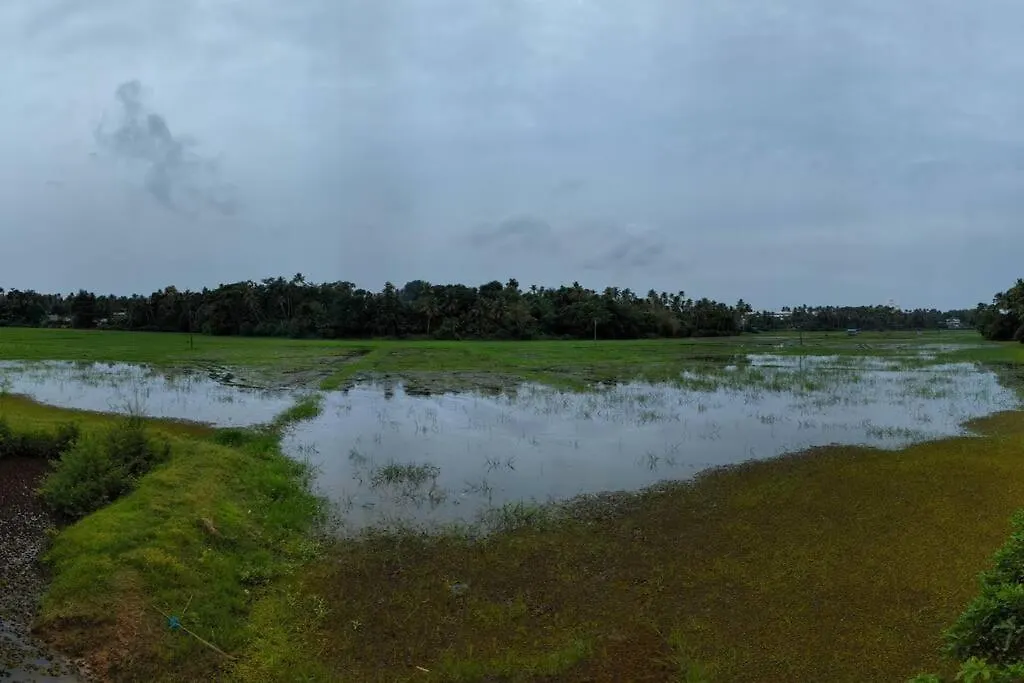 1 Bedroom Facing Paddy Fields Pullur, Irinjalakuda Appartement
